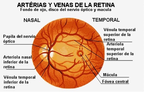 Degeneración de la Retina